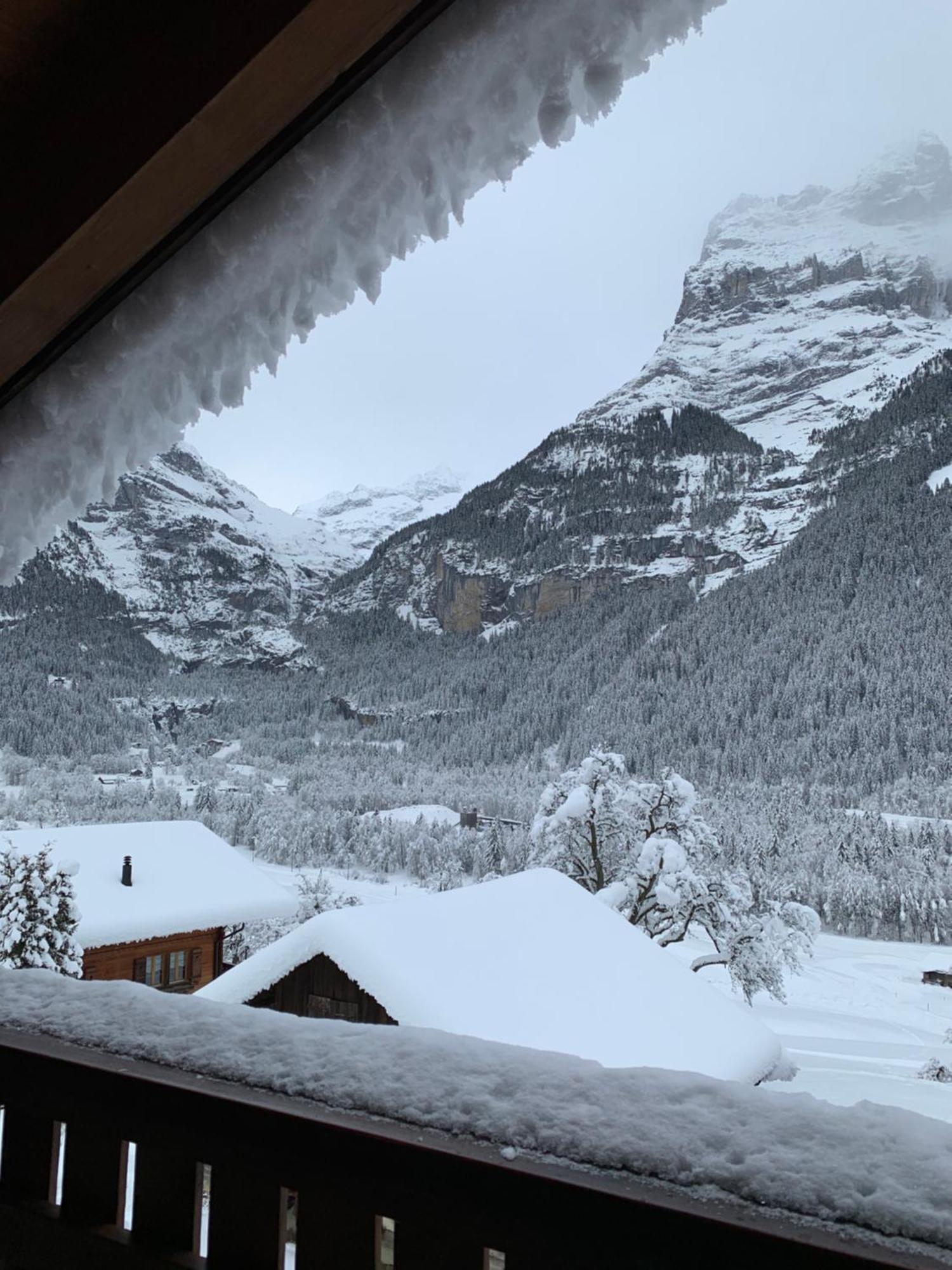 Silberhorn Lejlighed Grindelwald Eksteriør billede