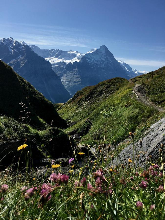Silberhorn Lejlighed Grindelwald Eksteriør billede