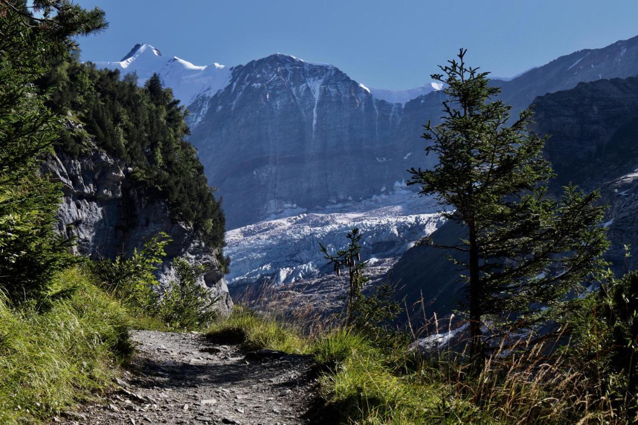 Silberhorn Lejlighed Grindelwald Eksteriør billede