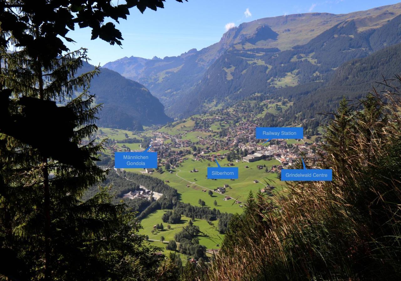 Silberhorn Lejlighed Grindelwald Eksteriør billede